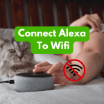 Connect Alexa To WiFi